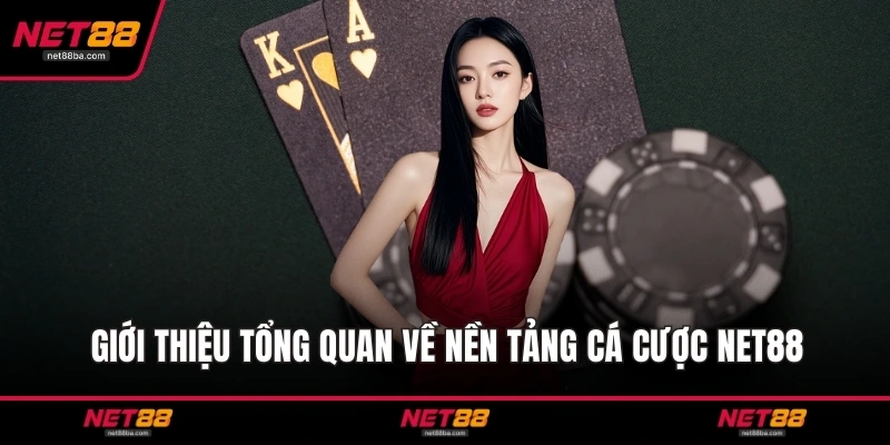 Giới thiệu tổng quan về nền tảng cá cược NET88